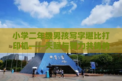 小学二年级男孩写字堪比打印机——天赋与努力共铸的辉煌