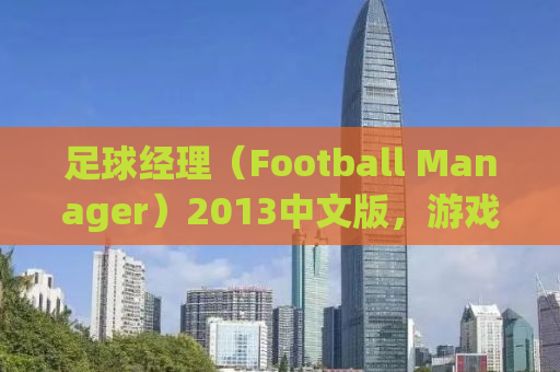 足球经理（Football Manager）2013中文版，游戏下载及体验分享
