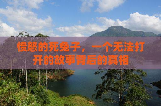 愤怒的死兔子，一个无法打开的故事背后的真相