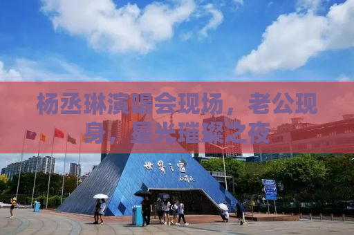 杨丞琳演唱会现场，老公现身，星光璀璨之夜