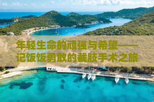年轻生命的顽强与希望——记饭饭勇敢的截肢手术之旅