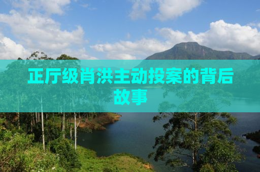 正厅级肖洪主动投案的背后故事