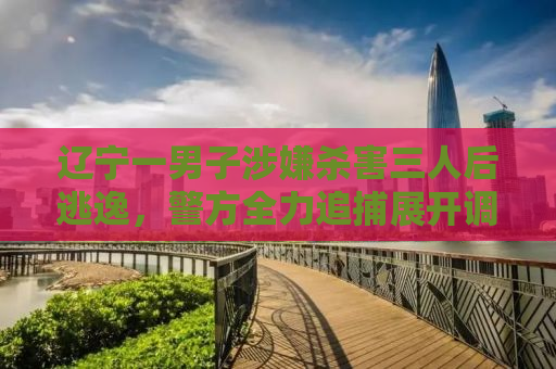 辽宁一男子涉嫌杀害三人后逃逸，警方全力追捕展开调查