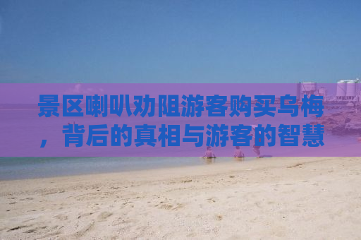 景区喇叭劝阻游客购买乌梅，背后的真相与游客的智慧选择