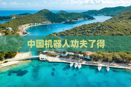 中国机器人功夫了得