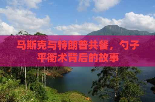 马斯克与特朗普共餐，勺子平衡术背后的故事