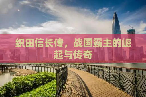 织田信长传，战国霸主的崛起与传奇
