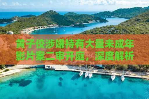 黄子佼涉嫌持有大量未成年影片案二审开庭，深度解析与反思