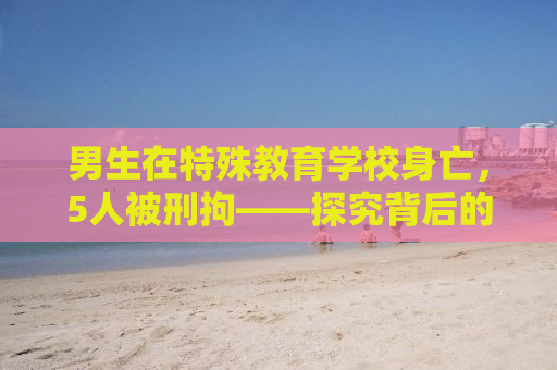 男生在特殊教育学校身亡，5人被刑拘——探究背后的真相