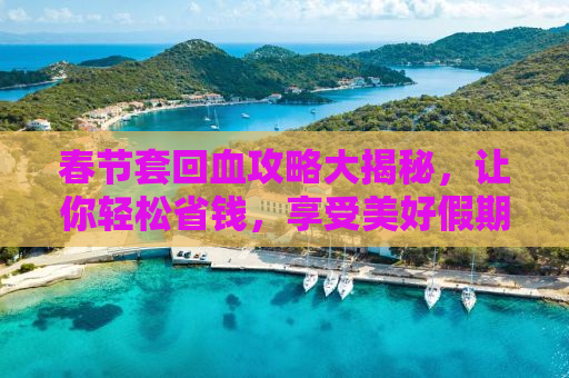 春节套回血攻略大揭秘，让你轻松省钱，享受美好假期！