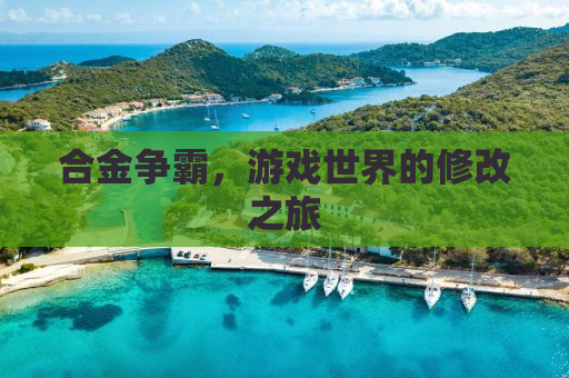 合金争霸，游戏世界的修改之旅