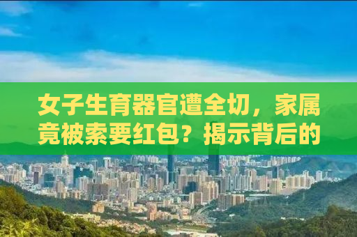 女子生育器官遭全切，家属竟被索要红包？揭示背后的残酷真相与道德伦理的严峻挑战