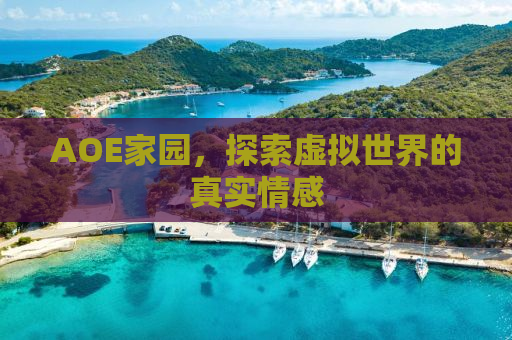 AOE家园，探索虚拟世界的真实情感