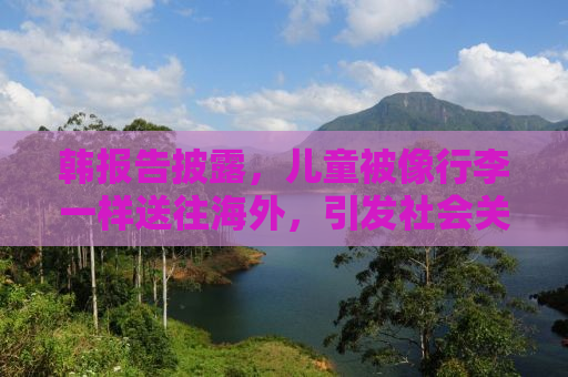 韩报告披露，儿童被像行李一样送往海外，引发社会关注与思考