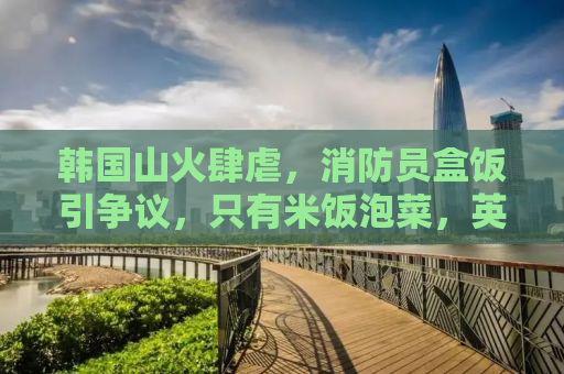 韩国山火肆虐，消防员盒饭引争议，只有米饭泡菜，英雄待遇需改善