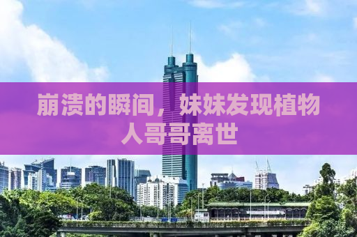 崩溃的瞬间，妹妹发现植物人哥哥离世