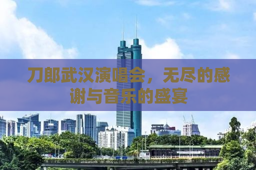 刀郎武汉演唱会，无尽的感谢与音乐的盛宴