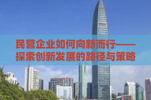 民营企业如何向新而行——探索创新发展的路径与策略
